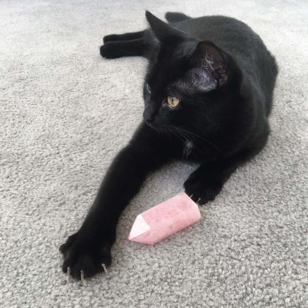 Meet your Posher, Julia